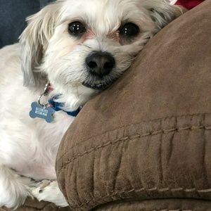 Meet your Posher, Cathy